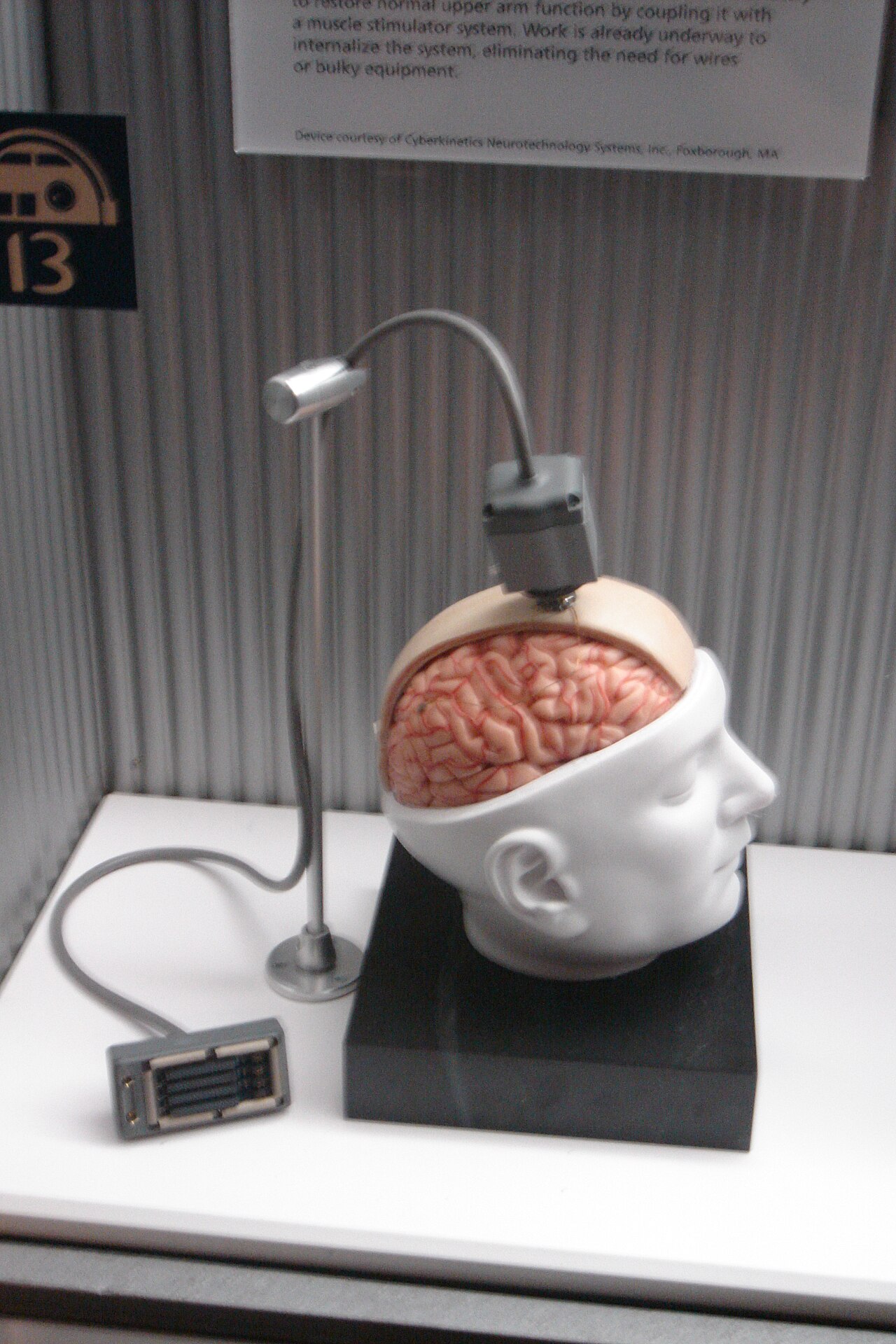 brain computer interface electrode